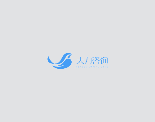 天力咨詢打造升級高端響應式官網