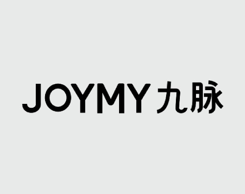 九脈科技打造全新中英文響應式官網