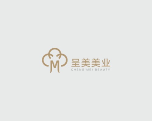 呈美企業(yè)管理打造全新響應式官網(wǎng)